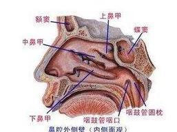 空鼻症