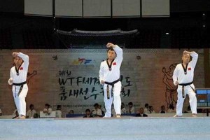 跆拳道品势(WTF) 跆拳道品势(WTF)