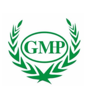 gmp认证