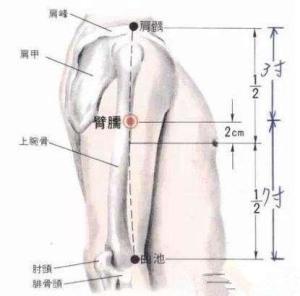 臂臑穴