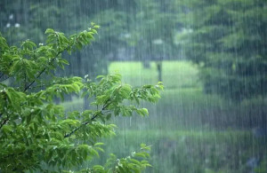 梅雨