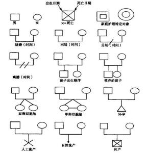 家系圖是表明親緣與婚姻關係的圖.