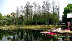 上海植物园