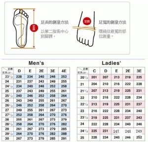 對照以下的數據表一般來說都是以腳長為主來判斷尺寸