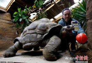 伦敦动物园