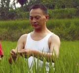 张纯烈
