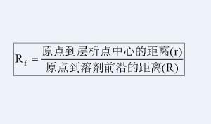 Rf值的计算公式