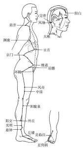 十二经脉