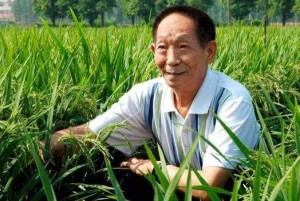 袁隆平