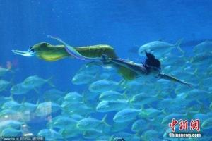 赵佳嫦娥奔月