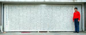 作品展示
