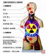 放射性颗粒对人体影响