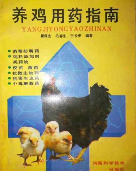 怎么养小鸡教程 0