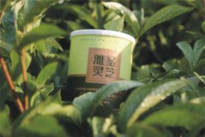 雅圣灵芝绿罐装