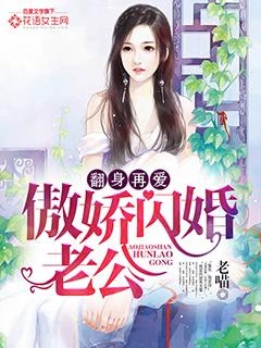 闪婚之谜，一部小说短剧的深度解读，闪婚之谜深度解读，一部小说短剧的魅力解析