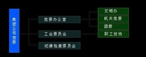 陕西省高速公路建设集团公司党组织机构图