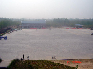乳鸽栖息地
