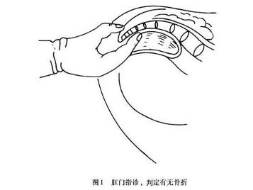 图1