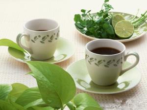 减肥茶