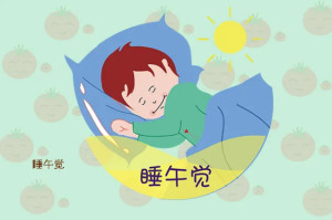 子午觉