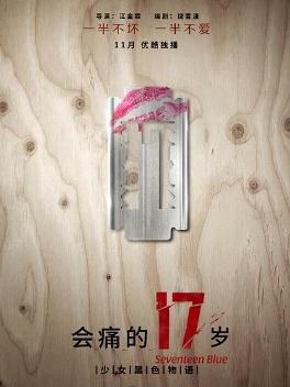 《会痛的17岁》海报