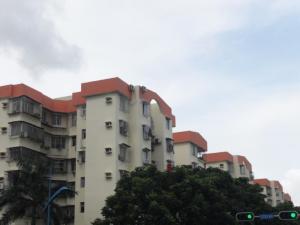 爱榕园外景图
