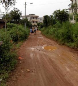 三角塘镇学校小路