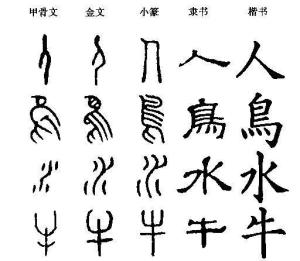 汉字的演变是从象形的图画到线条的符号和适应毛笔书写的笔画以及便于