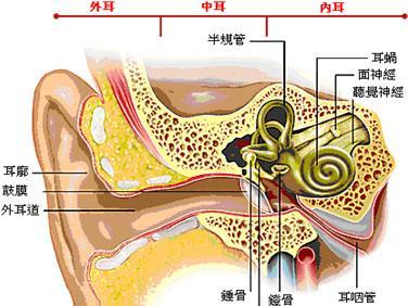 区分油耳和中耳炎图片图片