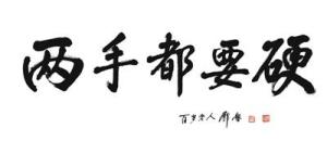 两手都要硬