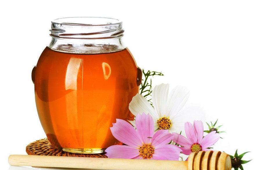 Honey 英文单词 搜狗百科