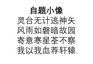 自题小像