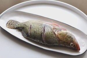 鳌花鱼