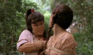 水儿武士