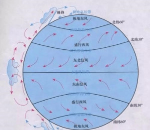 科里奥利力