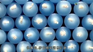 香薰蜡