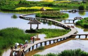 湿地公园