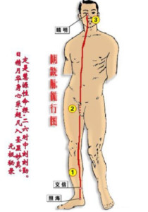 足少阴肾经