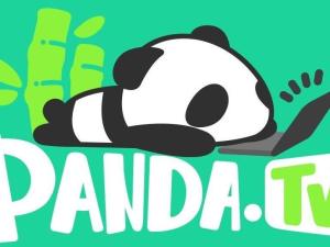 熊猫直播