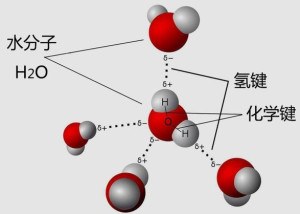 氢键 - 搜狗百科