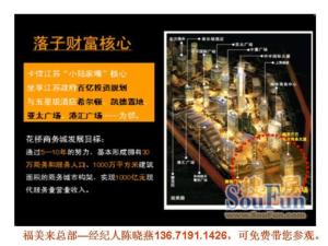 （赛格-阿里巴巴）电子商务城商铺图片介绍