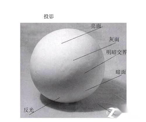 素描5大调子图片