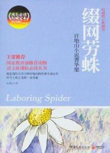 缀网劳蛛封面