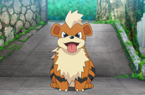 风速狗