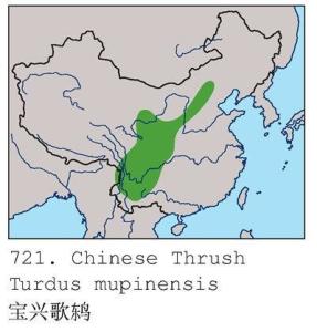 宝兴歌鸫分布图 宝兴歌鸫分布图