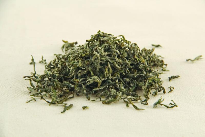 日照绿茶