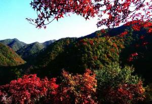翠枫山自然风景区