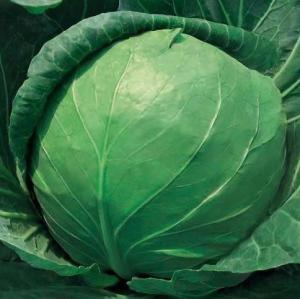 冬季养生补肾10大食物