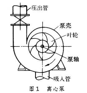 离心泵