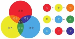种类